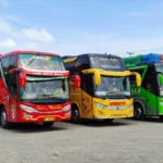 bus jawa sumatra - rifani trans- Bus Jawa Sumatera Murah & Terpercaya