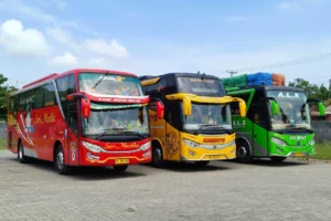 bus jawa sumatra - rifani trans- Bus Jawa Sumatera Murah & Terpercaya